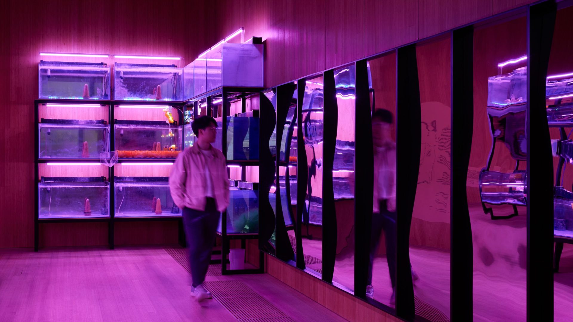 Installation view of Trevor Yeung_ Courtyard of Detachments, 2025 Photo_ Dan Leung Image courtesy of M+, Hong Kong_3-min