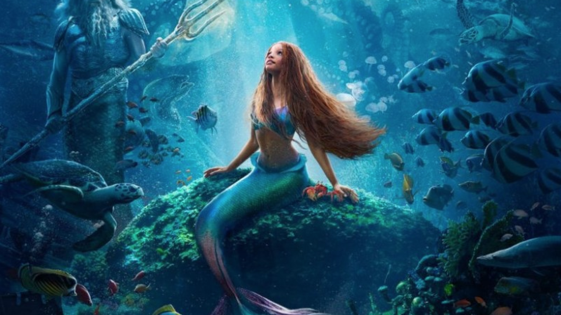 Screenshot 2025-11-26 at 12.57.37 PM