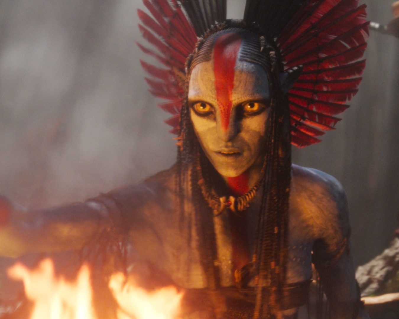 afa-tp-86401_6af6e7aa