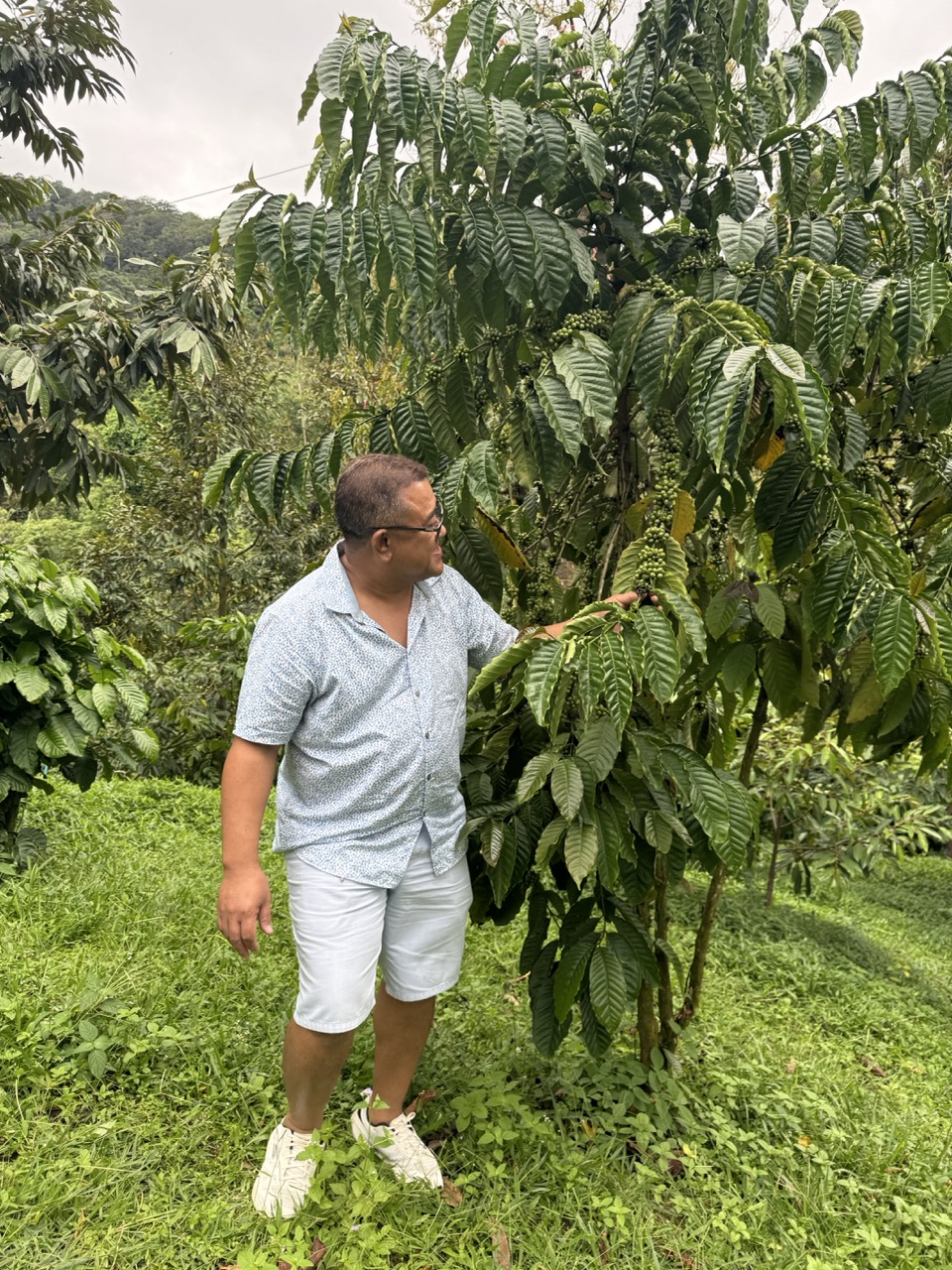 Khun Sut, owner of Chao Mui Coffee Farm