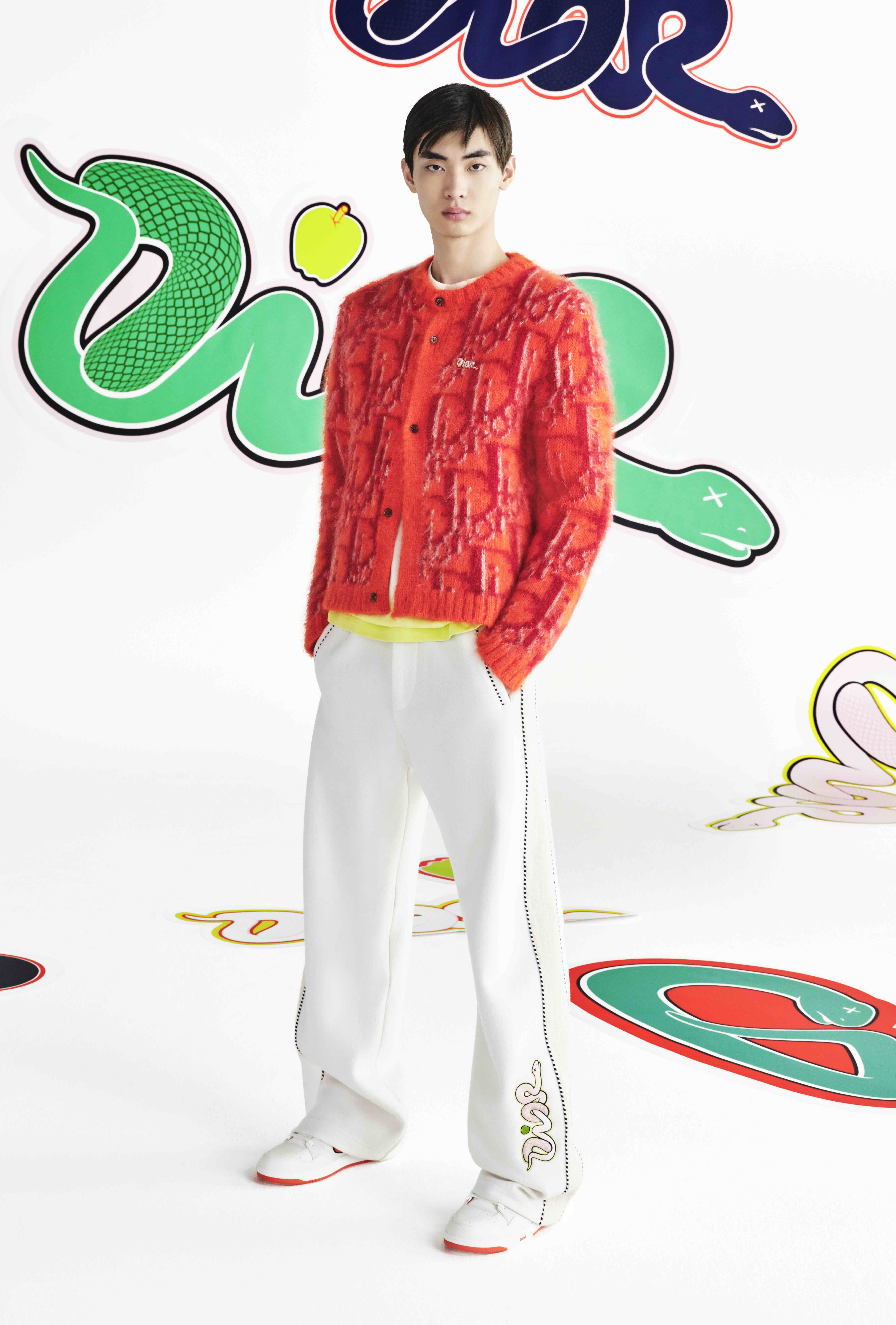 コレクション Dior x Kaws post card set Dior: Dior X Kaws Present New Men Spring 2025 Capsule